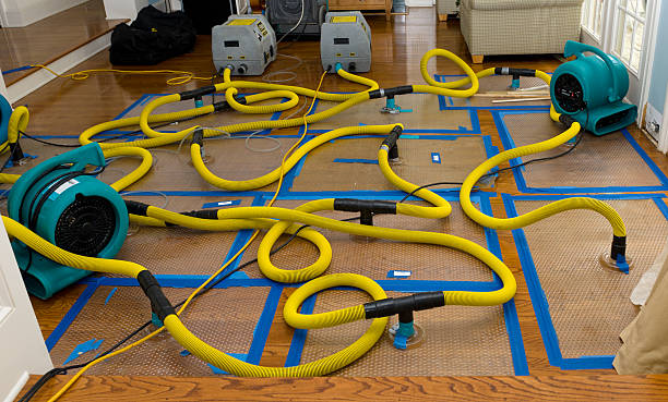 Professional Water Damage Repair technician working in Rudolph, OH