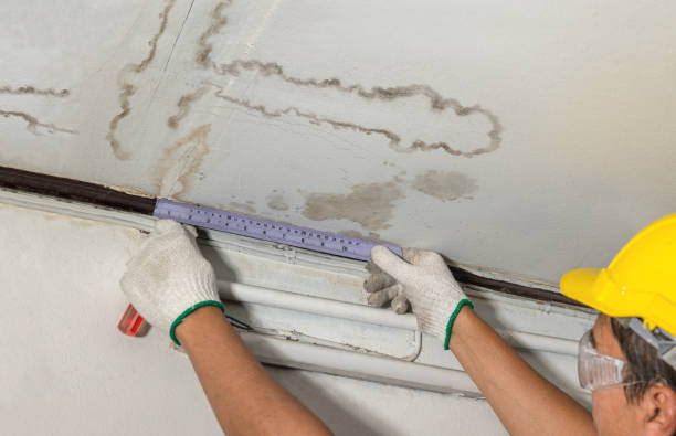 Affordable Water Damage Repair solutions in Rudolph, OH